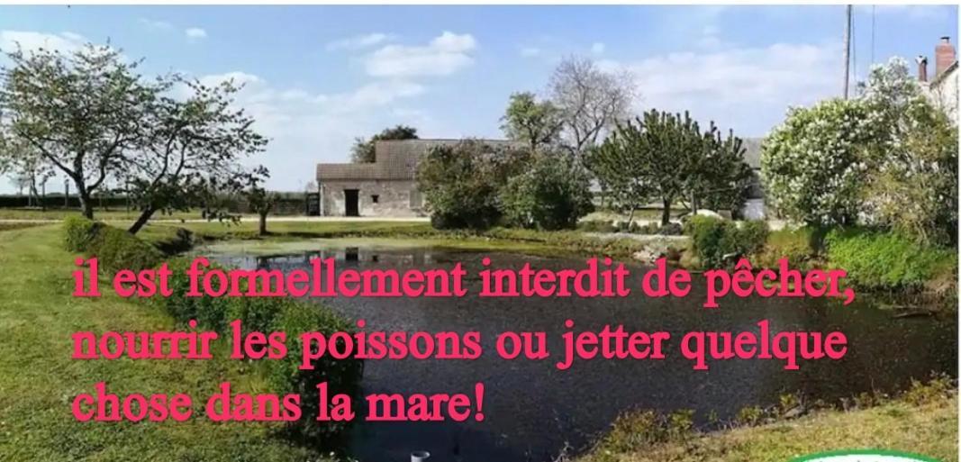 Gite Chez Jeannot Azay-le-Ferron Eksteriør billede